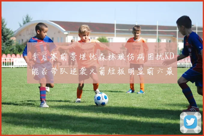 季后赛前景堪忧森林狼伤病困扰KD能否带队逆袭火箭短板明显前六最弱球队分析